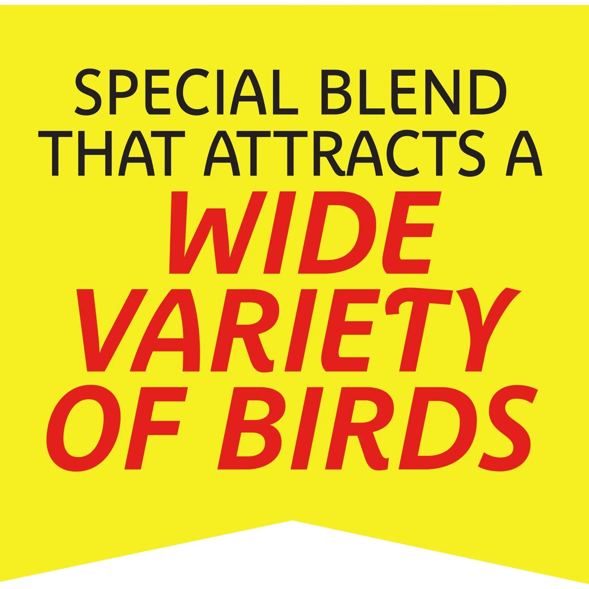 Wholesale Price with free shipping across the USA for Pennington Select Birder's Blend, Wild Bird Seed and Feed, 14 lb. Bag, 1 Pack, Dry - Manji Distributors