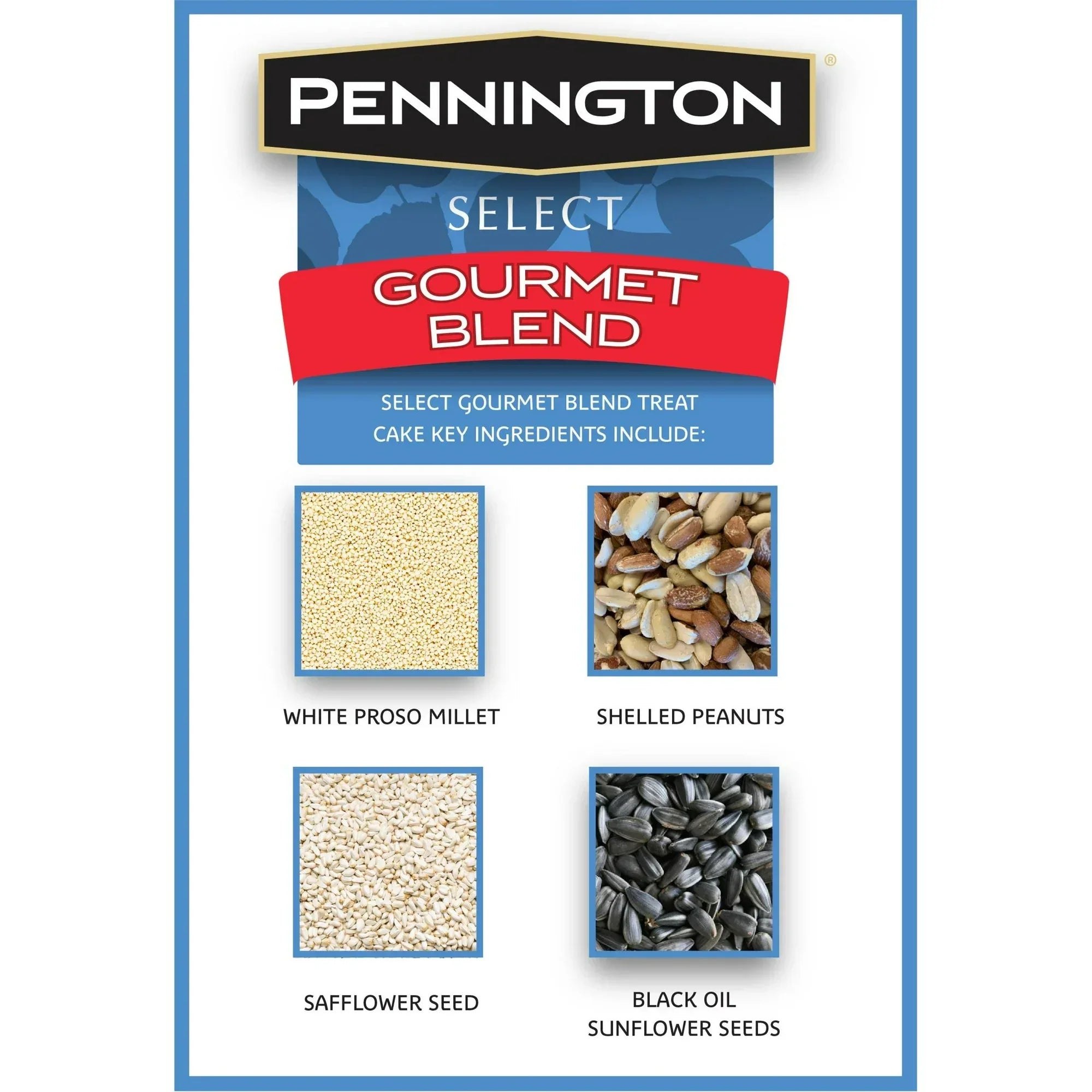 Wholesale Price with free shipping across the USA for (2 pack) Pennington Premium Gourmet Wild Bird Seed Cake, 2 lb., 1 Pack, Dry - Manji Distributors