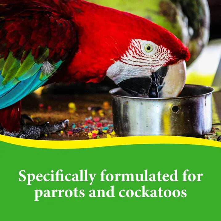 Wholesale Price with free shipping across the USA for 3-D Pet Products Premium Parrot Bird Food Seeds, with Probiotics, 8 lb. Bag, Dry - Manji Distributors