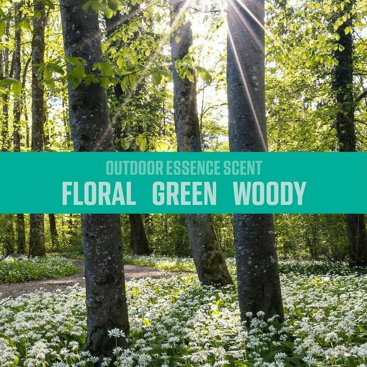 Wholesale Price with free shipping across the USA for (2 pack) OZIUM Outdoor Essence Stand Alone Spray Automotive Air Freshener, 1 Pack, 3.5 oz Can - Manji Distributors