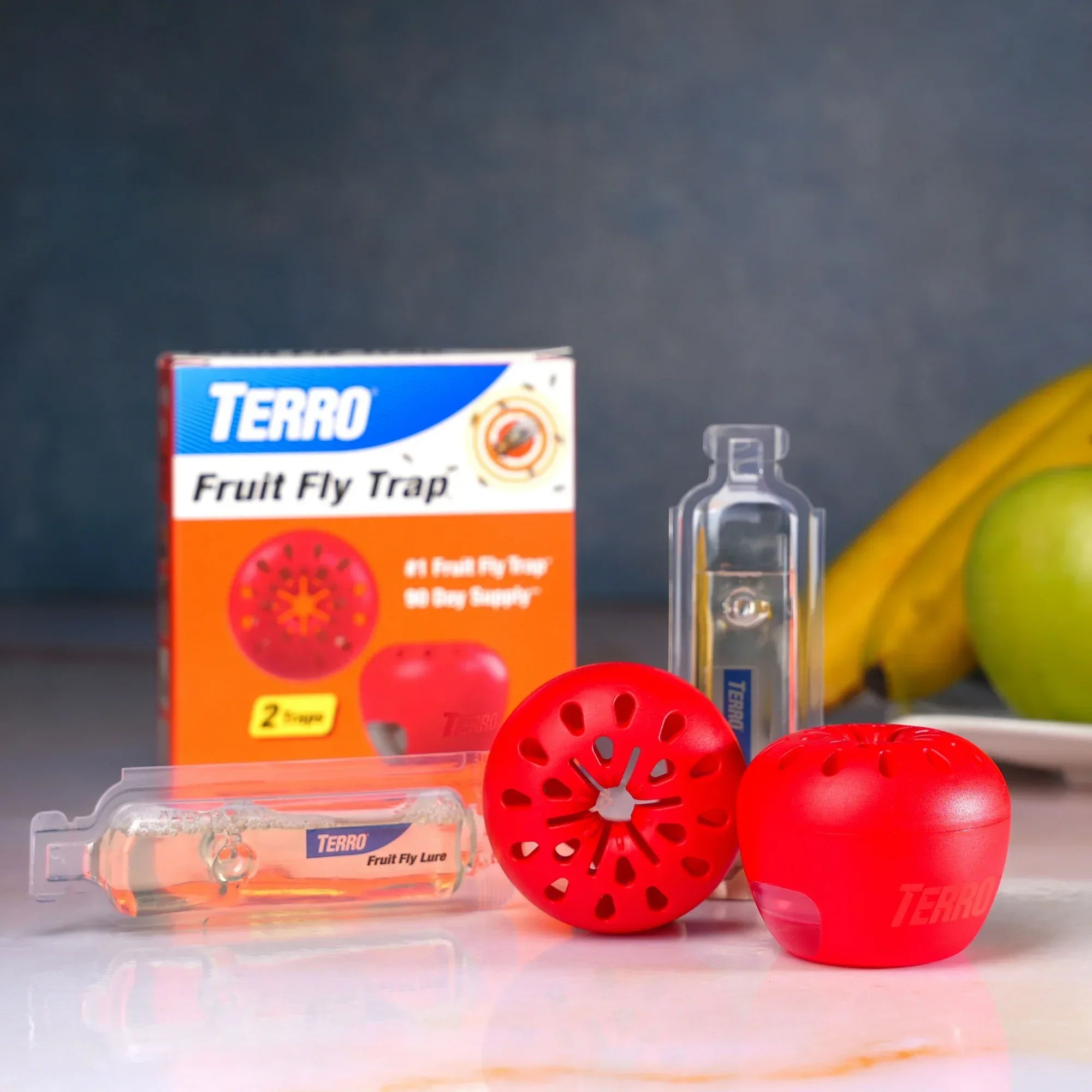 Wholesale Price with free shipping across the USA for (2 pack) TERRO Fruit Fly Trap, 2 Pack - Manji Distributors