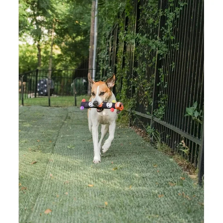 Wholesale Price with free shipping across the USA for Multipet Smiling Loofa Halloween Plush Dog Toy with Squeaker, 2 Piece Multipack, Day of the Dead, 12