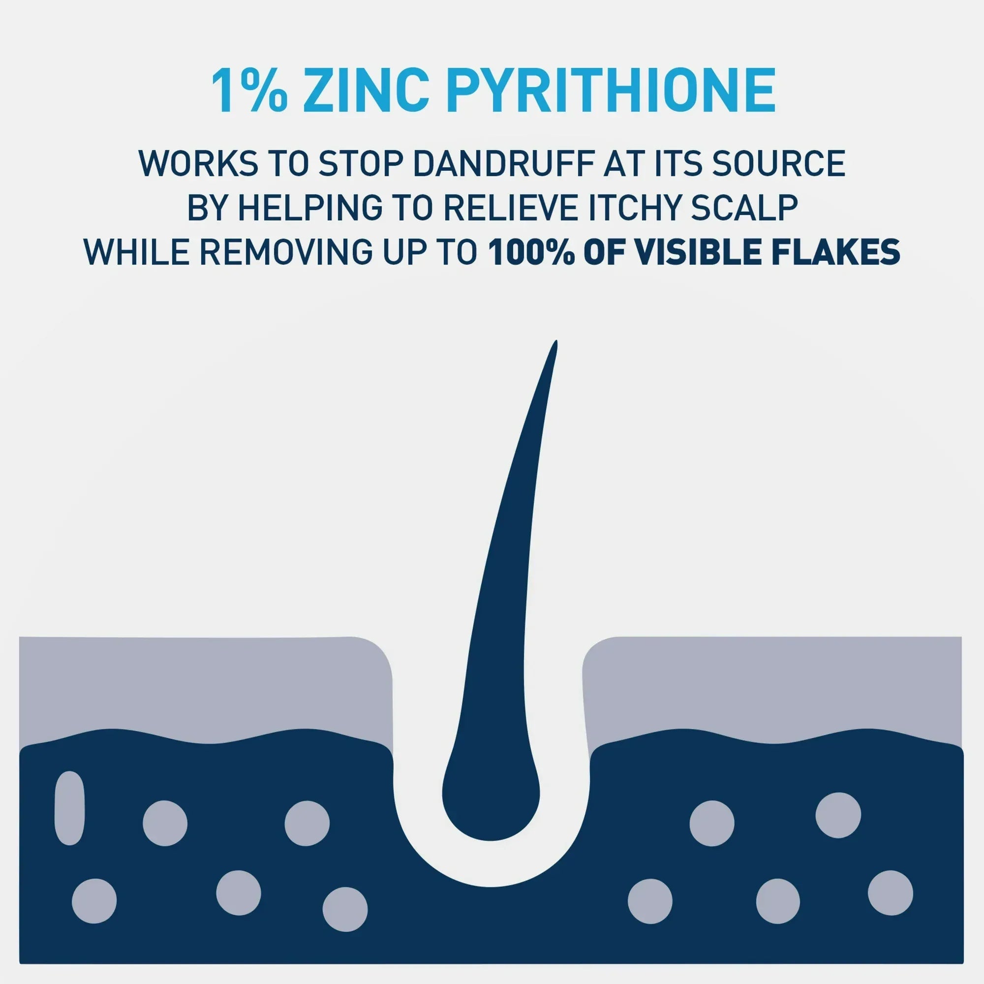 Wholesale Price with free shipping across the USA for CeraVe Hydrating Anti Dandruff Shampoo Sulfate Free & Color Safe Itchy Scalp Treatment - Manji Distributors