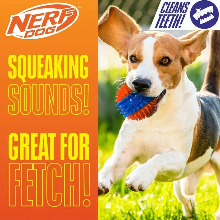 Wholesale Price with free shipping across the USA for Nerf Dog Squeaky Dental Spike Ball Dog Toy, Orange/Blue, 2.7 inch - Manji Distributors