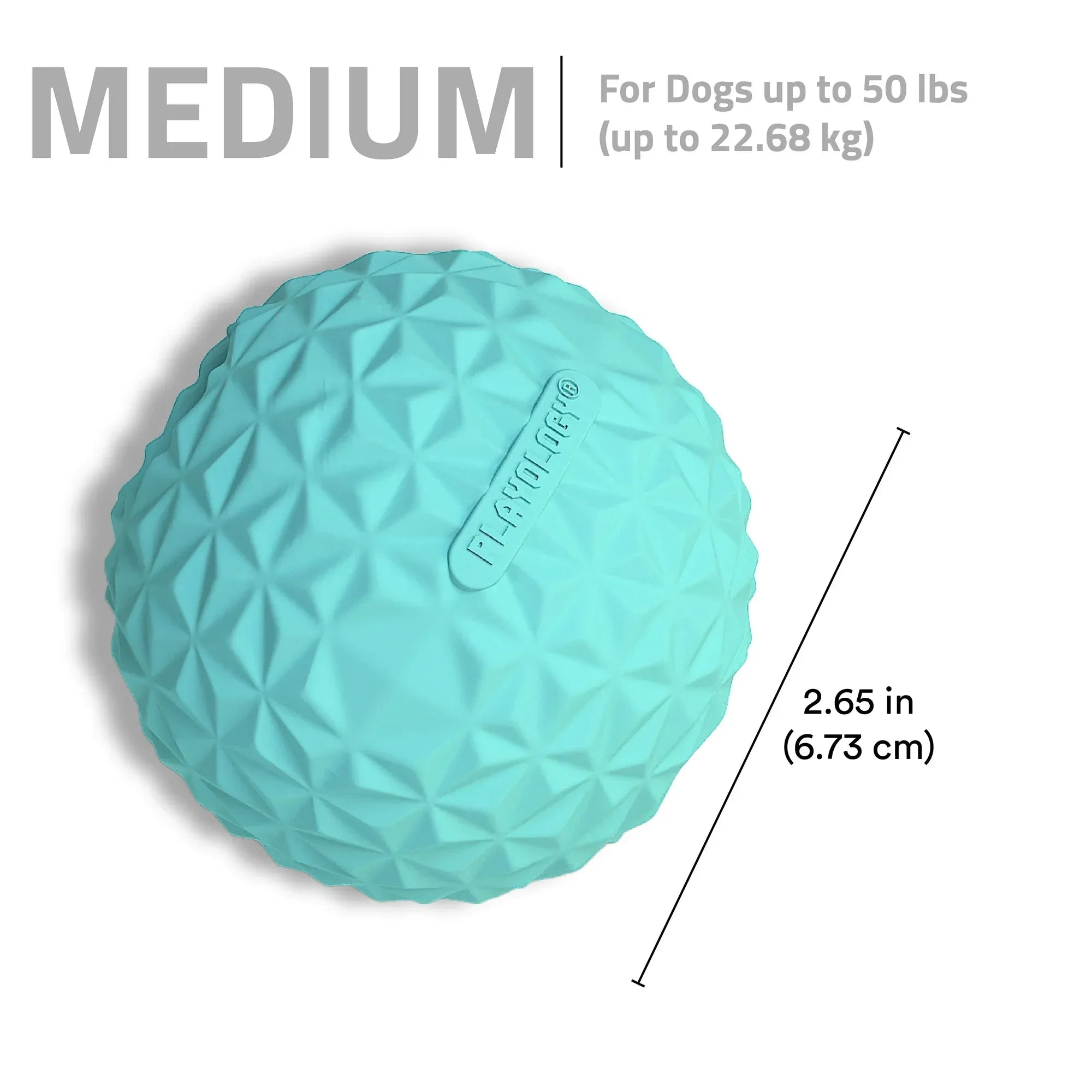 Wholesale Price with free shipping across the USA for Play by Playology Dog Toys | Interactive Dog Balls | Crunchy Ball Toy 2-Pack - Manji Distributors