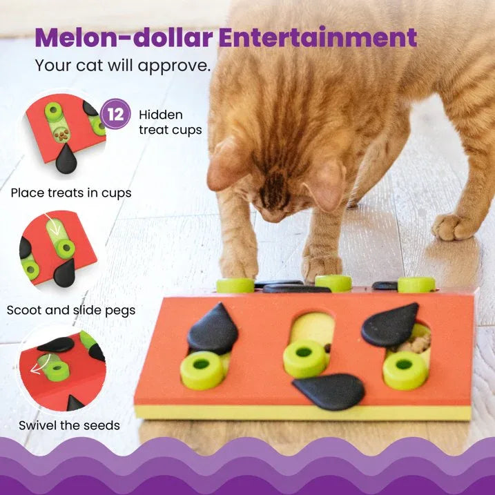 Wholesale Price with free shipping across the USA for Catstages Melon Madness Puzzle & Play Cat Game, Pink, One-Size - Manji Distributors