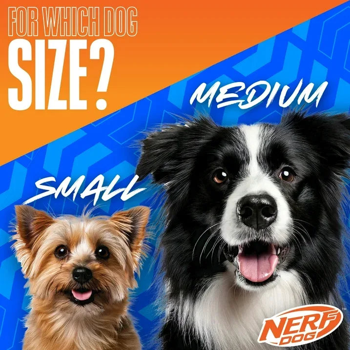 Wholesale Price with free shipping across the USA for Nerf Dog Squeaky Dental Spike Ball Dog Toy, Orange/Blue, 2.7 inch - Manji Distributors