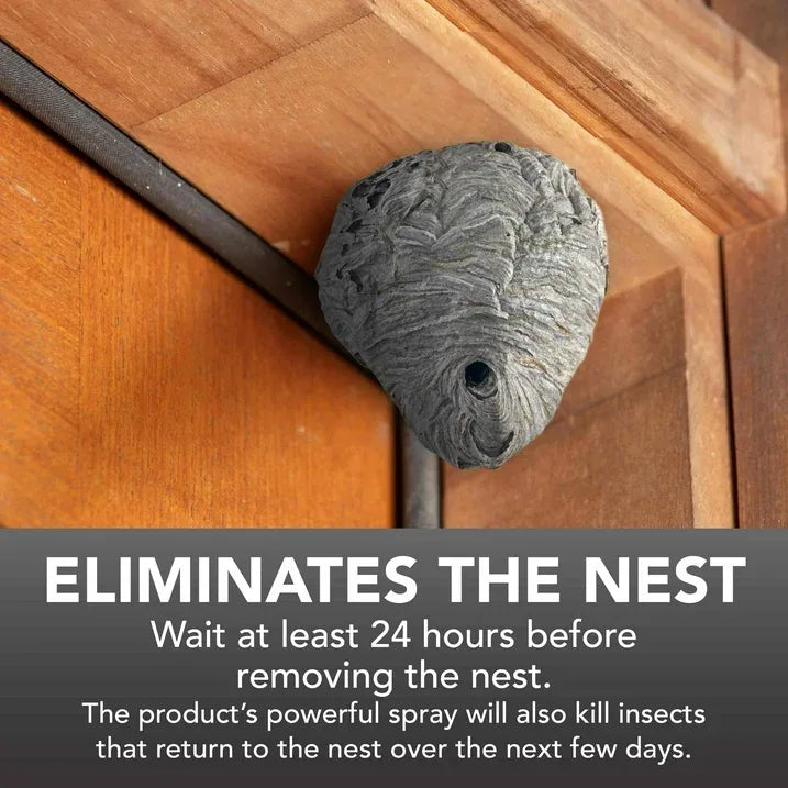 Wholesale Price with free shipping across the USA for Eliminator Wasp and Hornet Killer Aerosol, 17 Ounces, 3 Pack - Manji Distributors