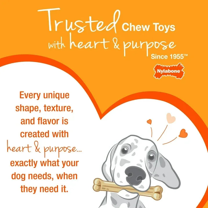 Wholesale Price with free shipping across the USA for Nylabone Power Chew Textured Bone Dog Chew Toy 70th Birthday Orange Swirl Chicken Medium (1 Count) - Manji Distributors
