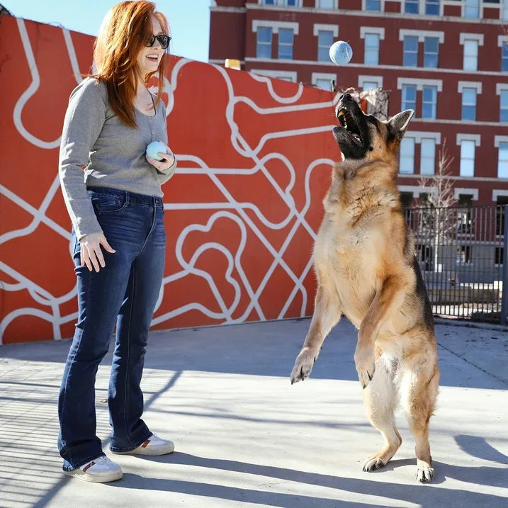 Wholesale Price with free shipping across the USA for (4 pack) Vibrant Life 3 Pack Fetch Balls Dog Toy - Manji Distributors