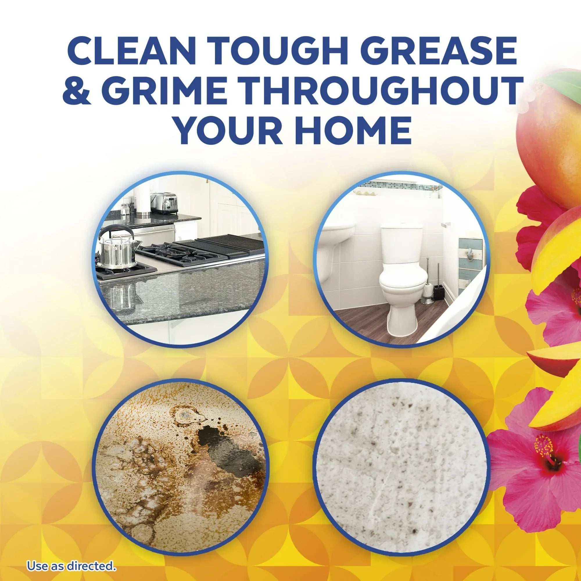 Wholesale Price with free shipping across the USA for Lysol® Brand New Day All Purpose Cleaner 32oz, Mango & Hibiscus, Deep Clean - Manji Distributors