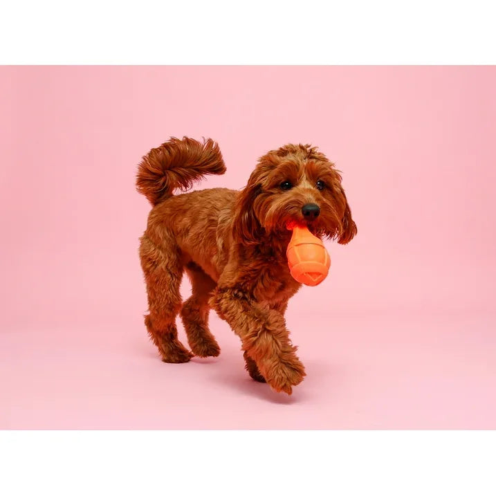 Wholesale Price with free shipping across the USA for Hartz Dura Play Rocket Dog Toy, Medium, Latex, Color May Vary - Manji Distributors