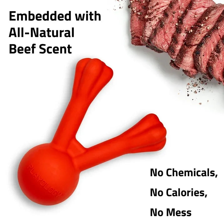 Wholesale Price with free shipping across the USA for Play by Playology Dog Toys | Interactive Dog Toy Stick | Scented Fetch Toy Branch, Large - Manji Distributors