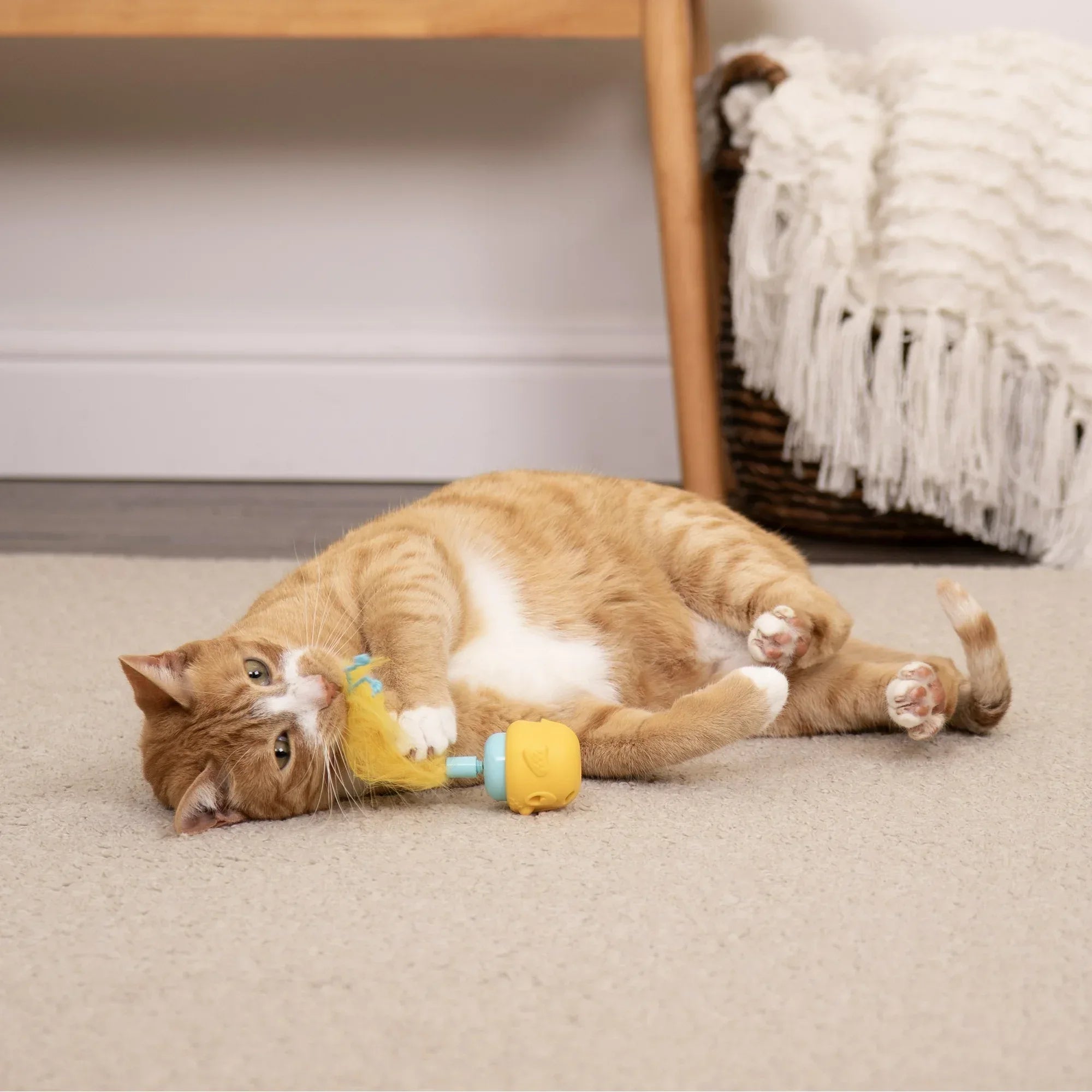 Wholesale Price with free shipping across the USA for SmartyKat Canary Frenzy Motion Cat Toy –Electronic Interactive Pet Toy, Yellow - Manji Distributors