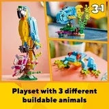 Wholesale Price with free shipping across the USA for LEGO Creator 3 in 1 Exotic Parrot to Frog to Fish Animal Figures Building Toy, Creative Toys for Kids Ages 7 and Up, 31136 - Manji Distributors