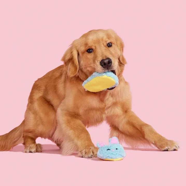 Wholesale Price with free shipping across the USA for BARK Yippy & Skippy Slippies Plush Dog Toys with Squeakers and Crazy Crinkle, for XS to Small Dogs - Manji Distributors