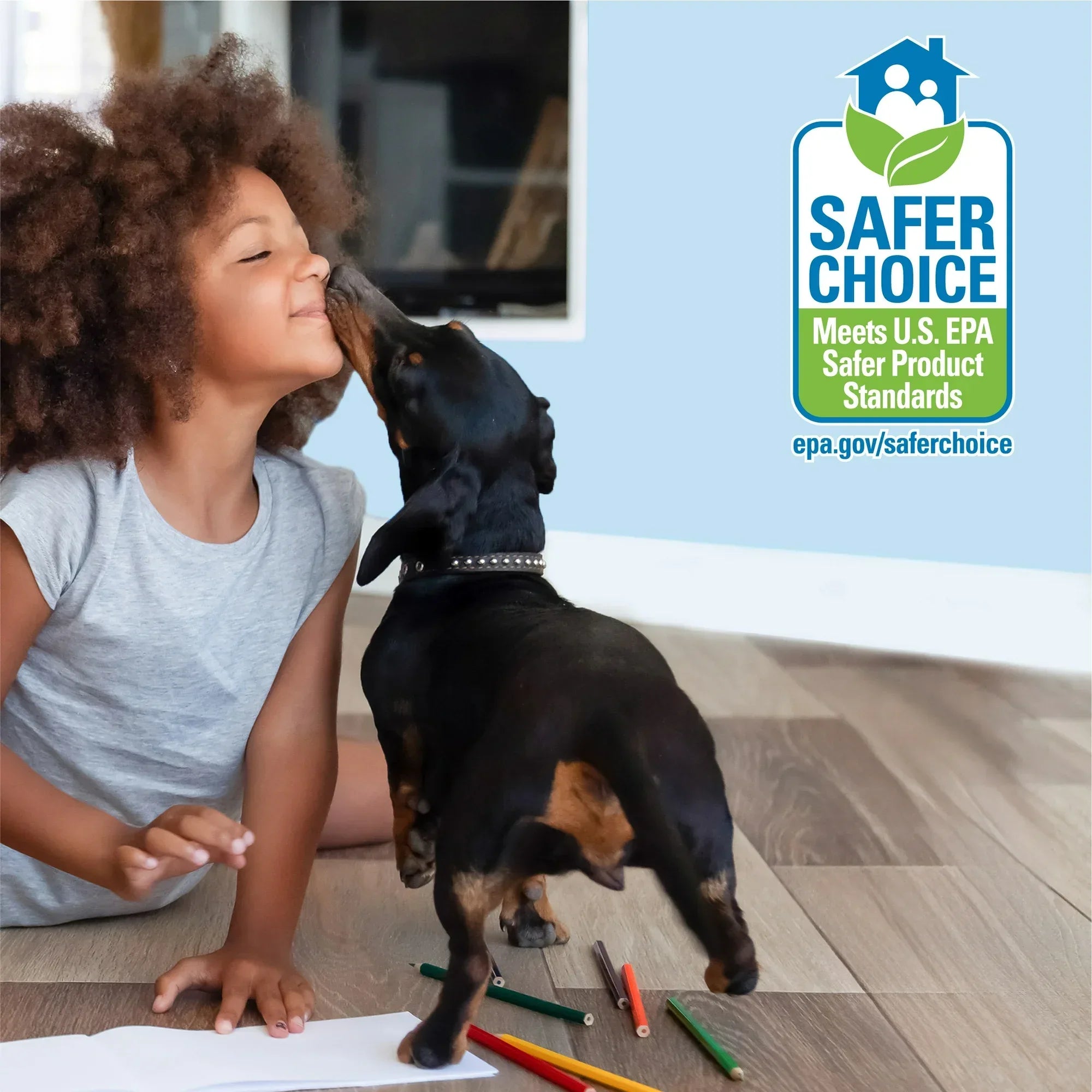 Wholesale Price with free shipping across the USA for Bona Spray Mop Air for Multi Surface floors, Lemon Mint Scent - Manji Distributors