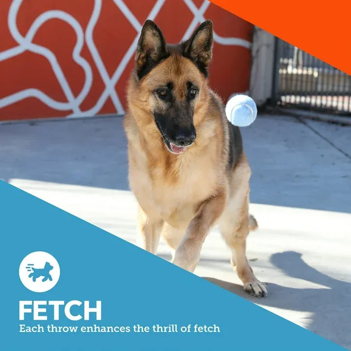 Wholesale Price with free shipping across the USA for (4 pack) Vibrant Life 3 Pack Fetch Balls Dog Toy - Manji Distributors
