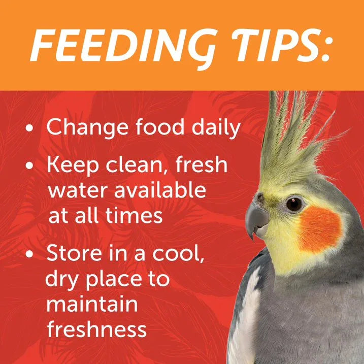 Wholesale Price with free shipping across the USA for (3 pack) Pennington Medium Bird Blend Bird Food for Cockatiels, Love Birds; 3 lb Bag - Manji Distributors