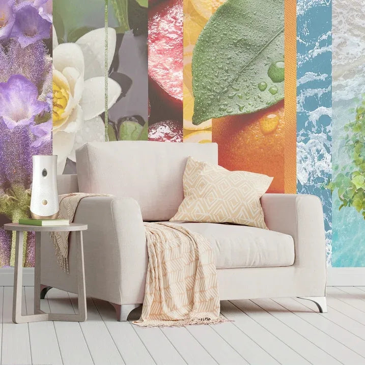 Wholesale Price with free shipping across the USA for (2 pack) Glade Automatic Spray Holder, Battery-Operated Air Freshener Spray, 10.2 oz, 1 Count - Manji Distributors