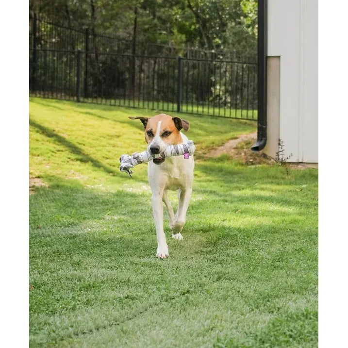 Wholesale Price with free shipping across the USA for Multipet Smiling Loofa Halloween Plush Dog Toy with Squeaker, 2 Piece Multipack, Frankenstein and Mummy, 12