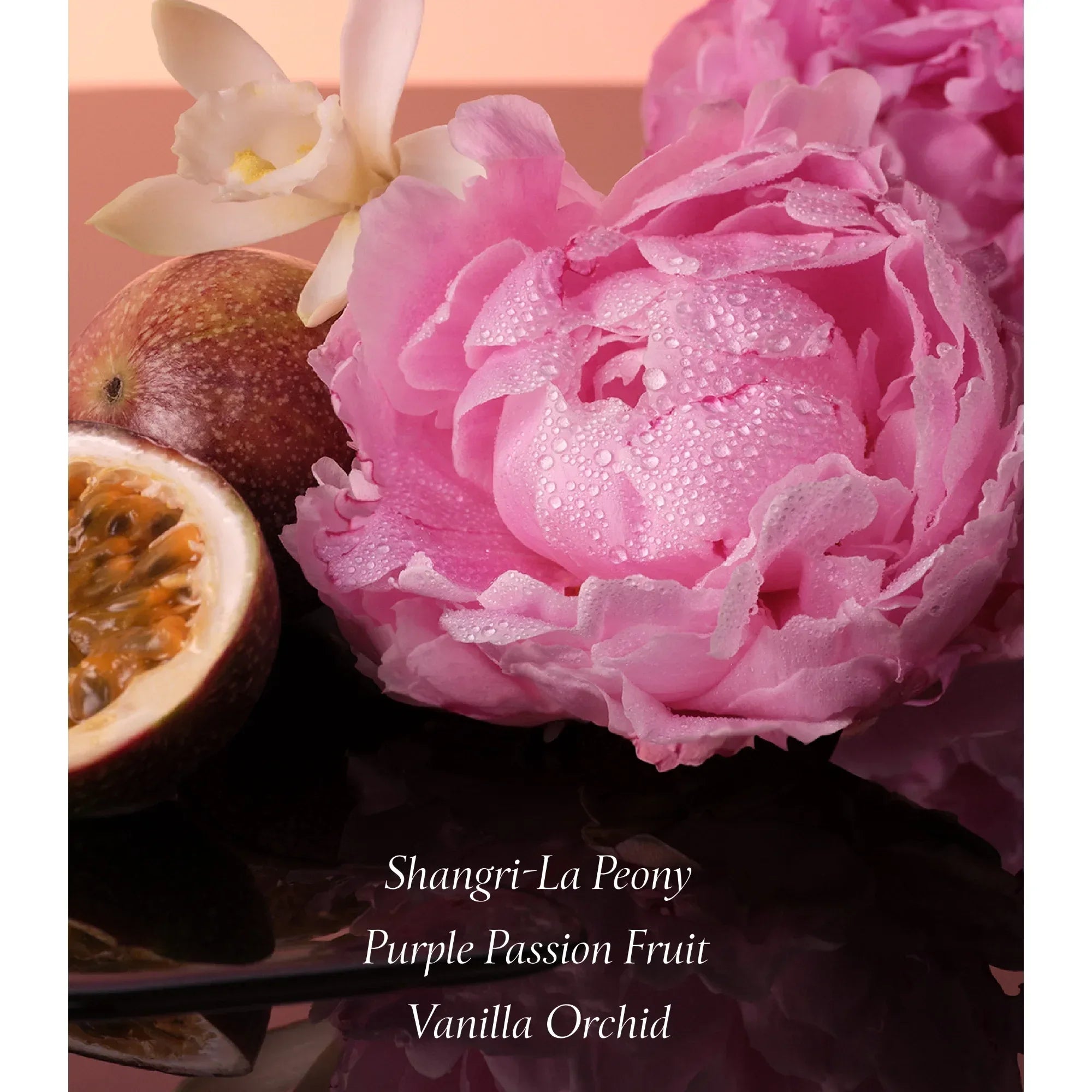 Wholesale Price with free shipping across the USA for Victoria's Secret Bombshell Eau de Parfum Travel Spray, Notes of Purple Passion Fruit, Shangri-La Peony & Vanilla Orchid, Mini Perfumes for Women (0.23 oz) - Manji Distributors