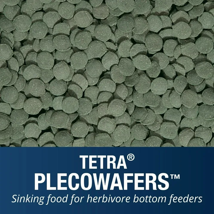 Wholesale Price with free shipping across the USA for Tetra Pleco Wafers for Algae Eating Fish, Sinking Fish Food to Support Digestibility, 6.5 oz - Manji Distributors