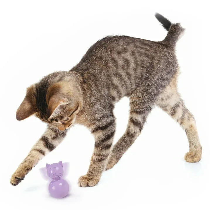 Wholesale Price with free shipping across the USA for SmartyKat Teeter Tiger Cat Exercise Toy – Stimulating Motion Toy for Cats, Purple - Manji Distributors