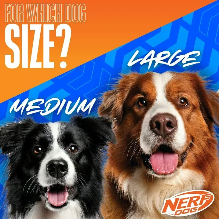 Wholesale Price with free shipping across the USA for Nerf Dog Tire Flyer Dog Fetch Toy, Green, 10 inch - Manji Distributors