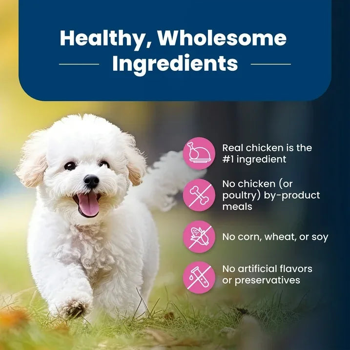 Wholesale Price with free shipping across the USA for Blue Buffalo Life Protection Formula Small Breed Dry Dog Food Chicken & Brown Rice 15 lbs. - Manji Distributors