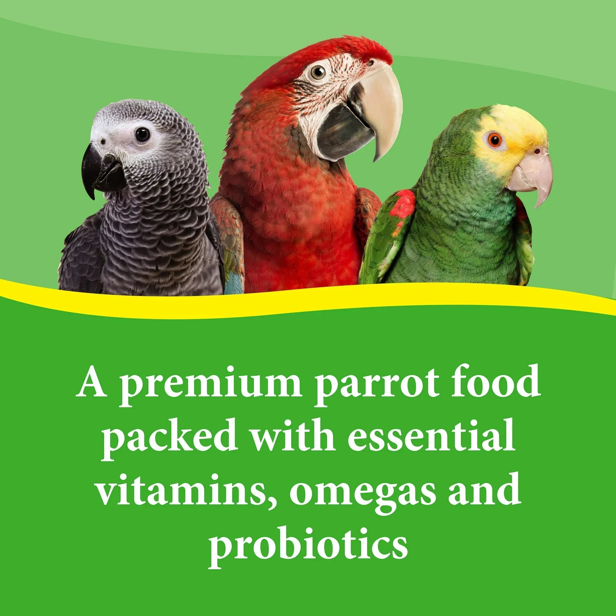Wholesale Price with free shipping across the USA for 3-D Pet Products Premium Parrot Bird Food Seeds, with Probiotics, 8 lb. Bag, Dry - Manji Distributors
