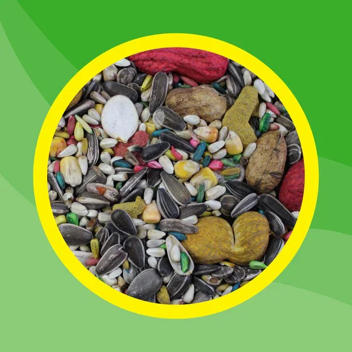 Wholesale Price with free shipping across the USA for 3-D Pet Products Premium Parrot Bird Food Seeds, with Probiotics, 8 lb. Bag, Dry - Manji Distributors