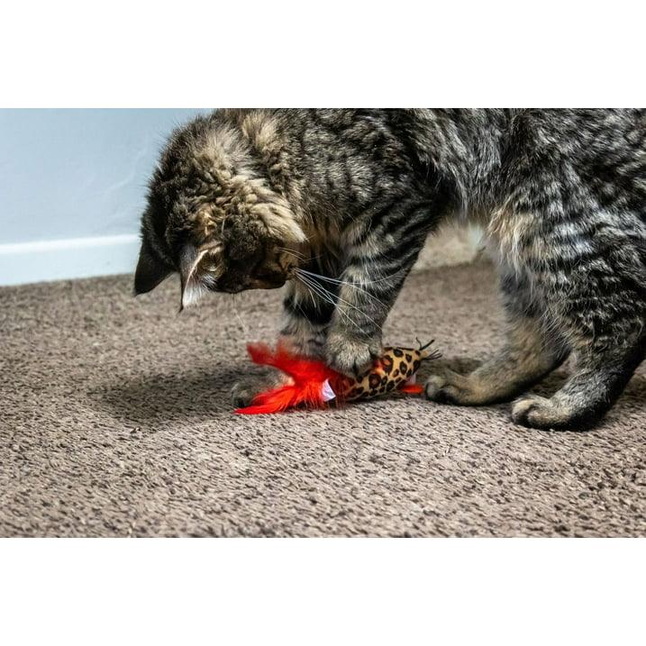 Wholesale Price with free shipping across the USA for (5 pack) Vibrant Life Safari Feather Mice Cat Toy, Assorted Colors - Manji Distributors
