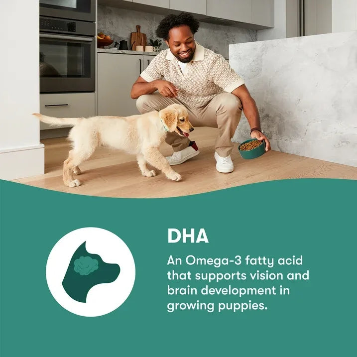 Wholesale Price with free shipping across the USA for Jinx Puppy Cage-Free Chicken, Brown Rice, & Sweet Potato Dry Dog Food, 4lb. Bag - Manji Distributors