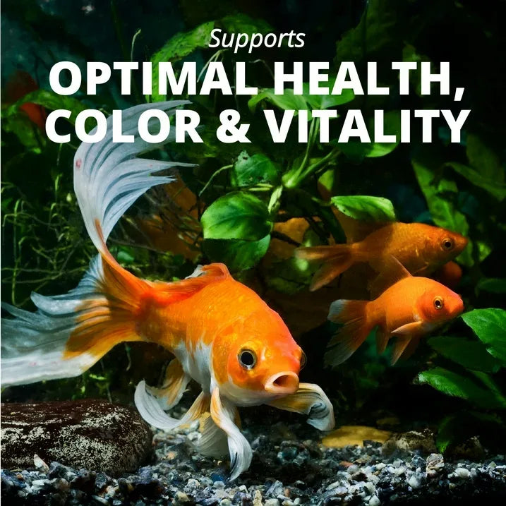 Wholesale Price with free shipping across the USA for (3 pack) Tetra Goldfish Flakes, Balanced Diet Fish Food, Clear Water Formula, 1 oz. - Manji Distributors