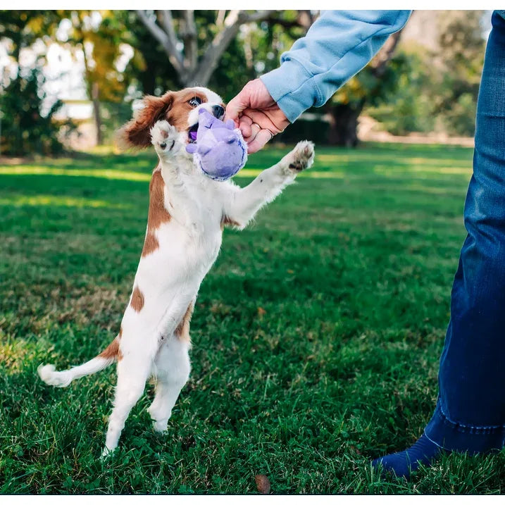 Wholesale Price with free shipping across the USA for (3 pack) Multipet Mini Pet Plush Hedgehog Small Dog Toy with Squeaker, Purple - Manji Distributors