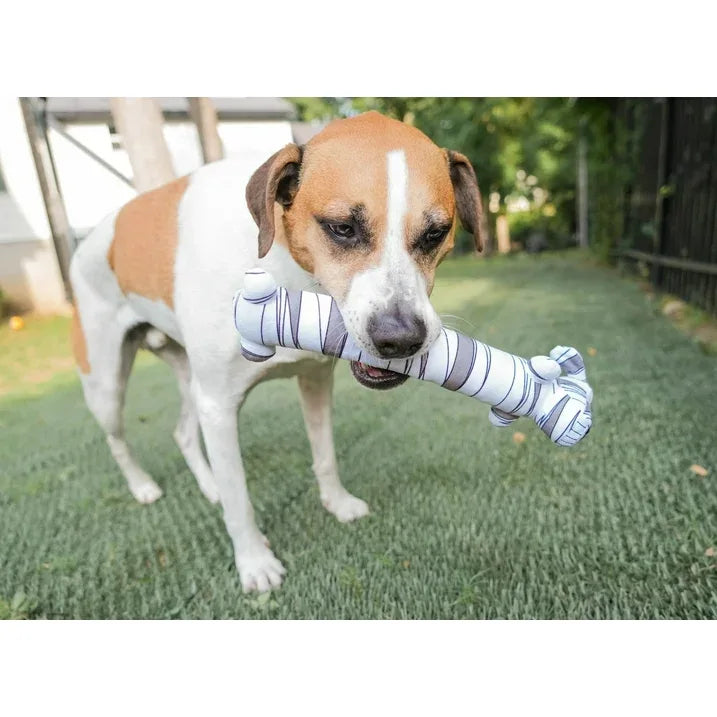 Wholesale Price with free shipping across the USA for Multipet Smiling Loofa Halloween Plush Dog Toy with Squeaker, 2 Piece Multipack, Frankenstein and Mummy, 12