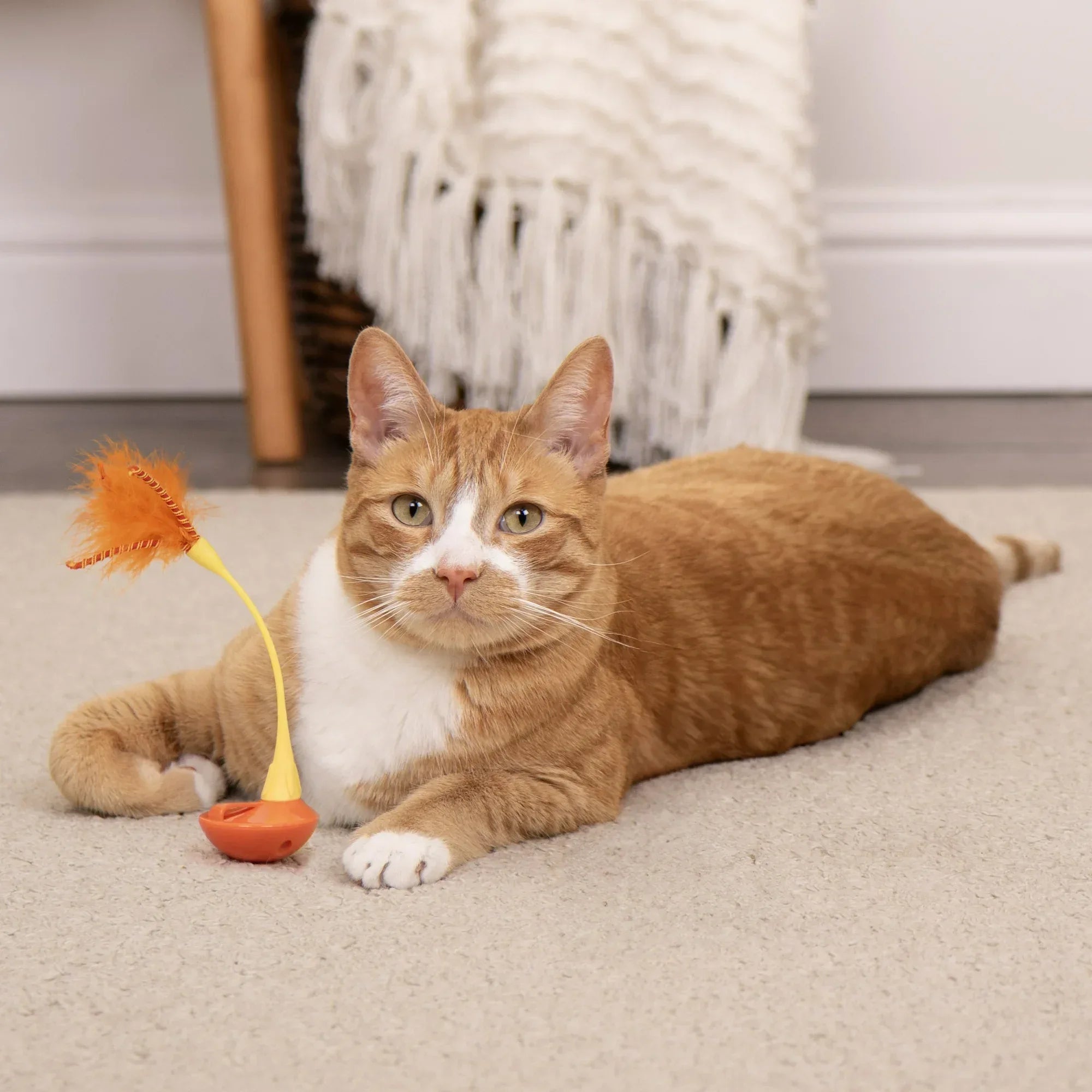 Wholesale Price with free shipping across the USA for SmartyKat Swat 'N Spin Interactive Cat Toy for Exercise & Stimulation, Medium, Blue - Manji Distributors