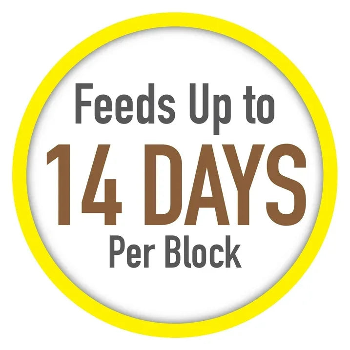 Wholesale Price with free shipping across the USA for (4 pack) Tetra Vacation Tropical Feeding Block, Feeds Fish up to 14 Days, 1.06 oz., 1 Block - Manji Distributors