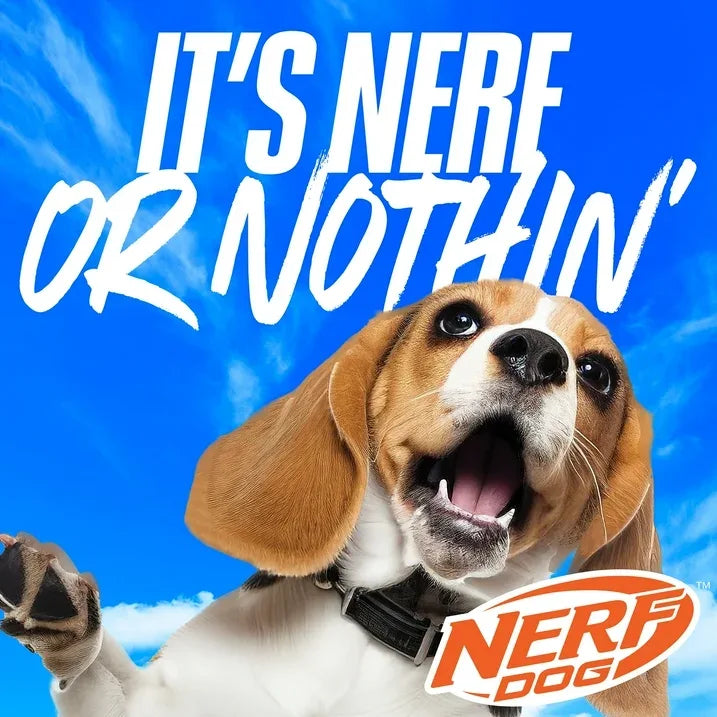 Wholesale Price with free shipping across the USA for Nerf Dog Squeaky Dental Spike Ball Dog Toy, Orange/Blue, 2.7 inch - Manji Distributors