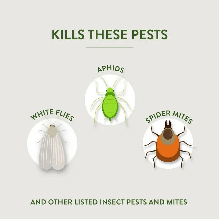 Wholesale Price with free shipping across the USA for Garden Safe Fungicide 3 Concentrater, 28 oz, Controls Fungus & Insects - Manji Distributors