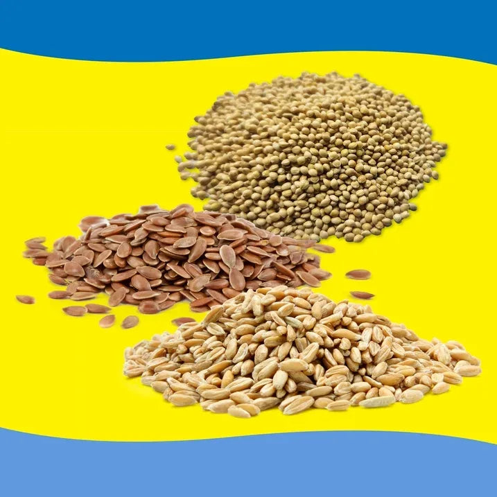 Wholesale Price with free shipping across the USA for 3-D Pet Products Premium Parakeet Food, 5.0 lb. Stay Fresh Jar - Manji Distributors