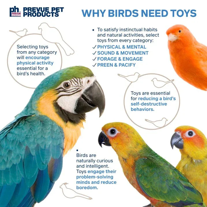 Wholesale Price with free shipping across the USA for Prevue Pet Products Playfuls Forage & Engage Takeout Bird Toy 60245 - Manji Distributors