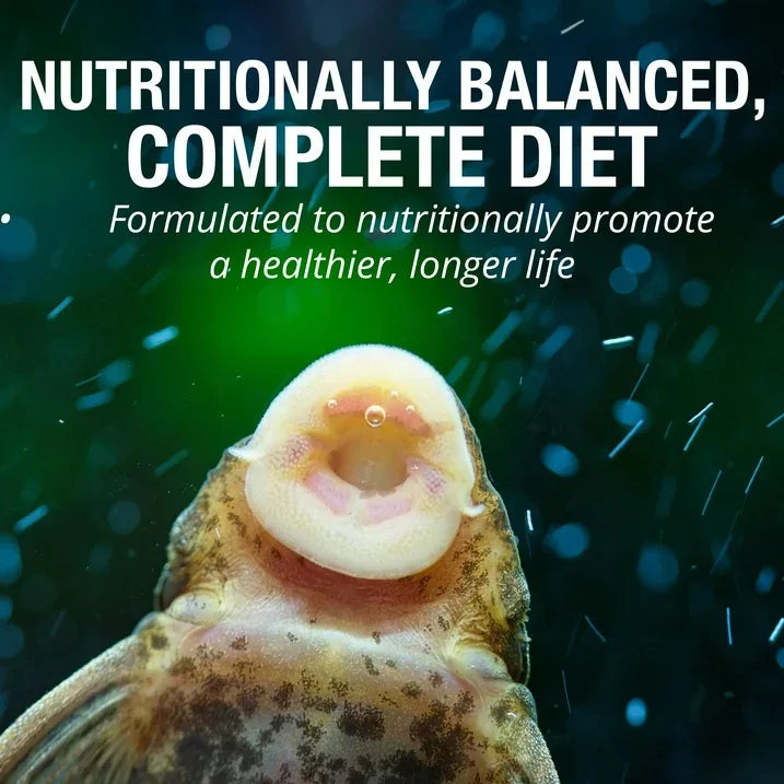 Wholesale Price with free shipping across the USA for Tetra Pleco Wafers for Algae Eating Fish, Sinking Fish Food to Support Digestibility, 6.5 oz - Manji Distributors