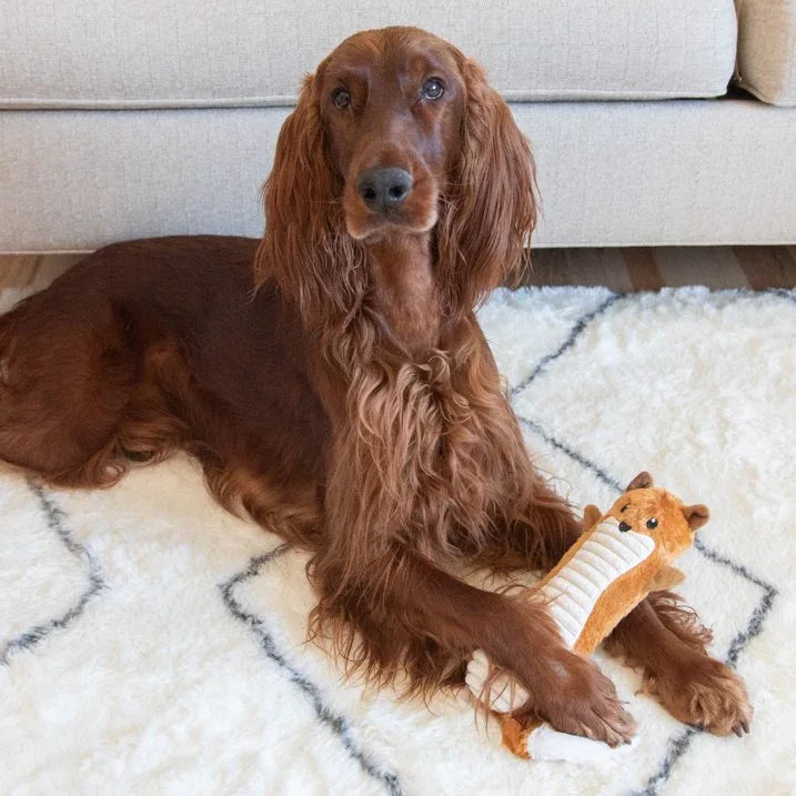 Wholesale Price with free shipping across the USA for Outward Hound Stuffing-Free Big Squeak Fox Plush Dog Toy, Orange, Medium - Manji Distributors