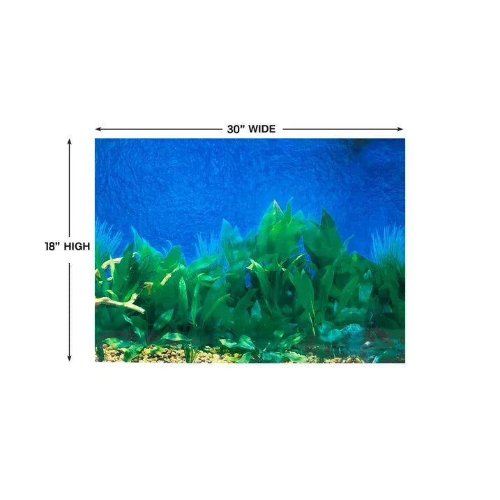 Wholesale Price with free shipping across the USA for Tide & Treasure Double Sided Aquarium Background, Aquatic Plant And Solid Blue, up to 29 Gallon Tank - Manji Distributors