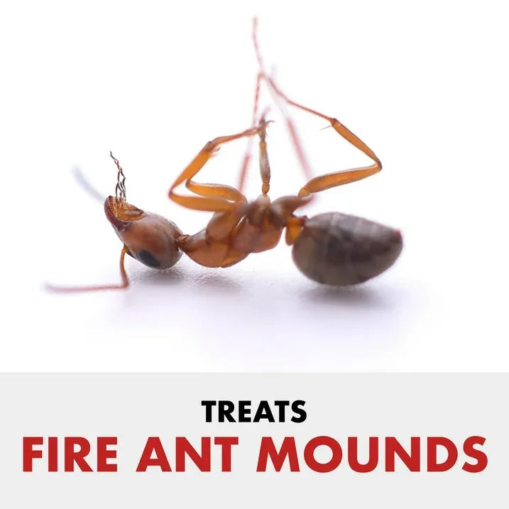 Wholesale Price with free shipping across the USA for Spectracide Fire and Ant Shield Mound Destroyer Granules, Kills Ants, 7lbs - Manji Distributors
