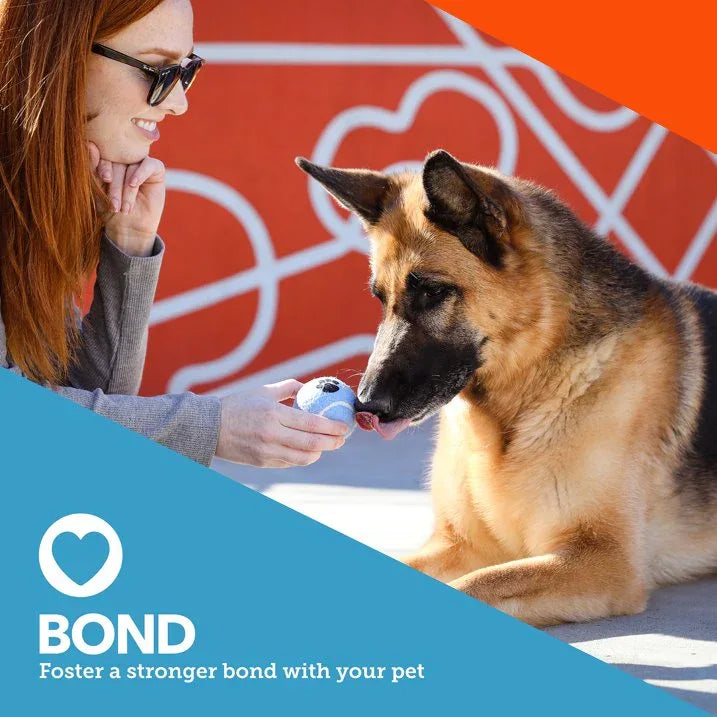 Wholesale Price with free shipping across the USA for (4 pack) Vibrant Life 3 Pack Fetch Balls Dog Toy - Manji Distributors