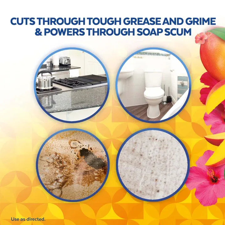 Wholesale Price with free shipping across the USA for (9 pack) Lysol® Multi-Surface Cleaner - Pourable Brand New Day™ Mango & Hibiscus 9/28 oz. - Manji Distributors