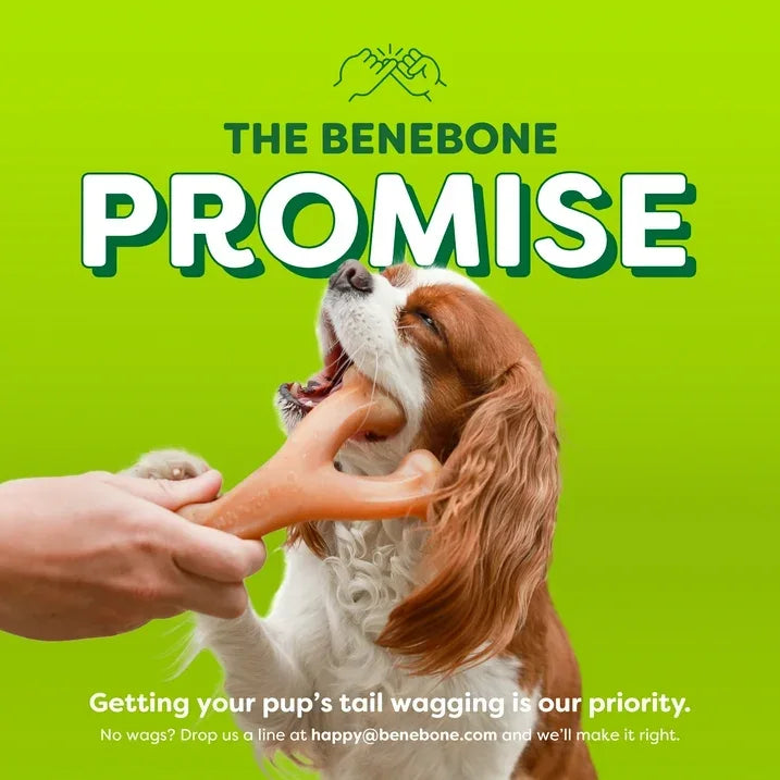 Wholesale Price with free shipping across the USA for Benebone Essentials 2-Pack Wishbone Bacon & Chicken M/L - Manji Distributors